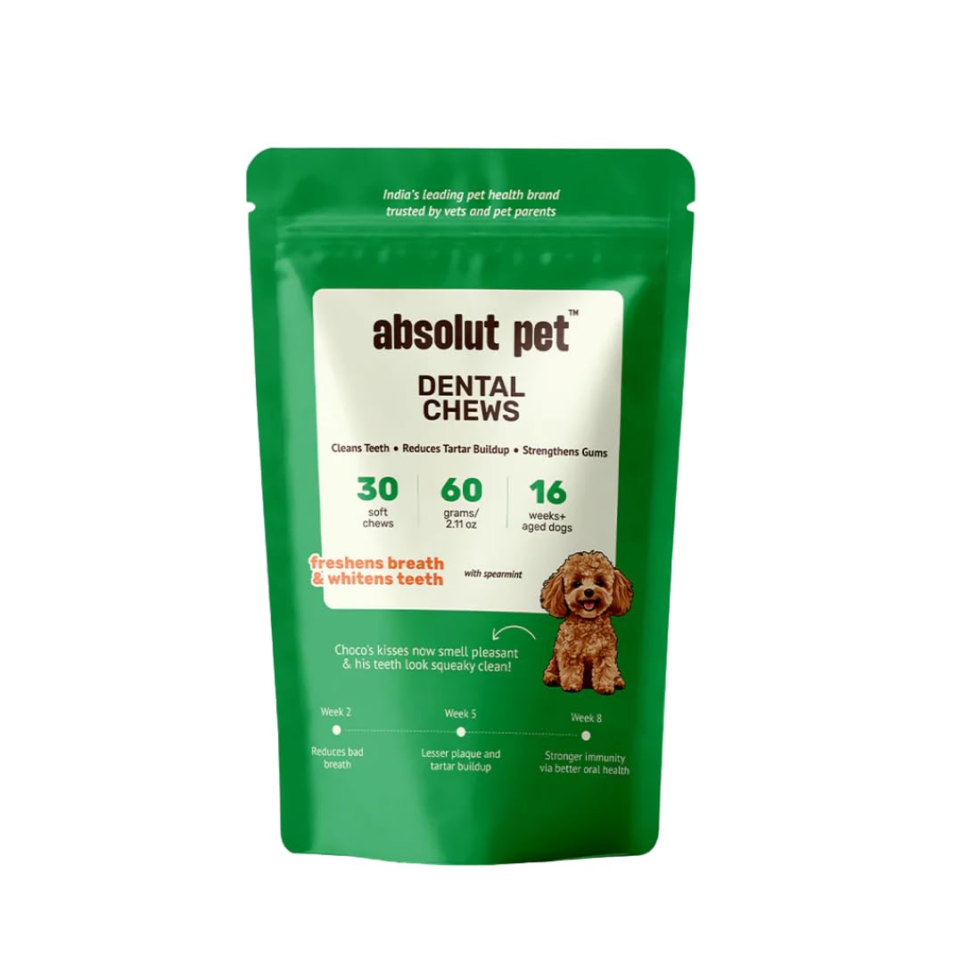 51BzBYBru4L._SL1080_.jpg Absolut Pet Dog Supplement for Oral Care, Dental Chews for Dogs that Reduces Plaque & Tartar | Freshens Breath & Supports Gum Health (30 Chews) - Image 1