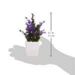 amazon basics Artificial Plants with Pot|Realistic Looking| Multi Variety |Durable Plastic | No Maintenance | Home Decor | Dimensions: 5 cm X 13 cm (Pack of 8) - Image 9