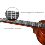 Kadence UKTWC Concert 23" Acoustic Ukulele | Sapele Wood | Comes with Bag | Includes Learning Course | Brown - Image 8
