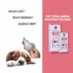 PET360 Omega 3+6+9 for Dogs | Blend of Salmon & Flax Seed Oils with Fur & Coat Protectives | Reduced Shedding | Shiny Coat | Healthy Joints | Nutritional Supplement for Pets - 200 ml - Image 3