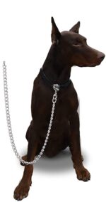 PSK PET MART Dog Chain Silver Grind No.8 Heavy Weight Dogs Leash Heavy Duty Dog Chain with Heavy Hook (L - 60 Inch) for Large Dogs - Image 3