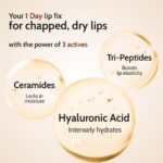 Chemist At Play Natural Lip Balm with SPF 50 PA++++ | 1% Kojic Acid & Ceramides | Lip balm for Dark and Dry Lips | Moisturising Lip Balm | Brightens Dark Lips | For Men & Women | 4.5 g - Image 4
