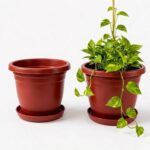 Urban Upvan Terracotta Round Flower Pots 10 Inch with Tray for Plants | Planters for Indoor & Outdoor Use | Balcony, Garden & Home Décor Gamla Pots, Pack of 2