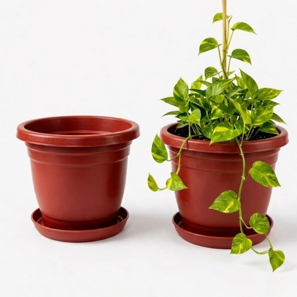 51tRPW8o1L._SL1000_.jpg Urban Upvan Terracotta Round Flower Pots 10 Inch with Tray for Plants | Planters for Indoor & Outdoor Use | Balcony, Garden & Home Décor Gamla Pots, Pack of 2 - Image 1