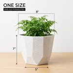 YUCCABE ITALIA SHERA Hexa Plastic Planter Pot for Plants Decorative Flower Pot UV Protected Lightweight Indoor Outdoor Gamla for Home Decor, Balcony, Garden & Living Room (Stone White, 8 INCH - 3 Pcs) - Image 4