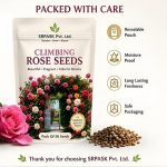 Hybrid Climbing Rose Vine Mix Seeds - All Season Japanese Variety Everbloom Multicolour Flower Plant Seeds For Outdoor Home Garden, Balcony, Walls, Gate FarmHouses (Cnt. 20+ Seeds) - Image 9