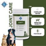PET360 Joint+ Chondroprotective Formula - 100 gm | Hip, Joints, Cartilage Supplement for Dogs & Cats for Improved Mobility & Pain Relief with Glucosamine, Chondroitin, MSM | Suitable for All Breeds - Image 3