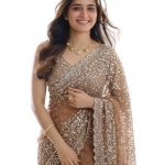 Naari Women's Brown Beige Chiku Net Gold Sequence Saree With Blouse (Soneri New 3)