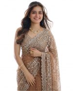 Naari Women's Brown Beige Chiku Net Gold Sequence Saree With Blouse (Soneri New 3)