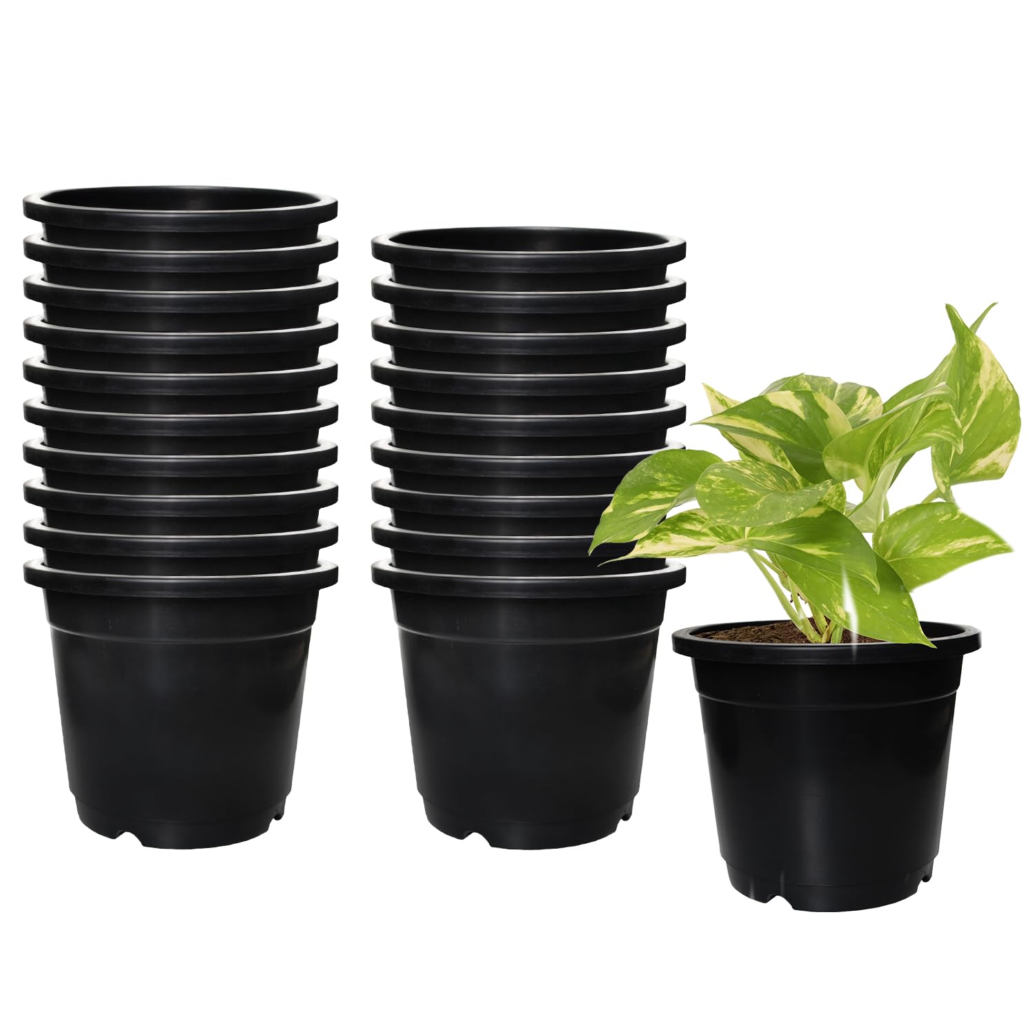 614RQyLhZL._SL1500_.jpg Amazon Brand - Solimo 100% Virgin Plastic Round Nursery Planter Pot | Indoor and Outdoor Flower Pot for Home/Office/Table/Garden/Balcony Decoration | 6 inch, Set of 20 | Black - Image 1