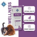 PET360 Vital+ Advanced Wellness Formula | Daily Multivitamin Syrup | Healthy Skin, Joints, Immunity & Growth | Nutritional Supplement for Dogs & Cats- 200 ml - Image 3