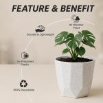 YUCCABE ITALIA SHERA Hexa Plastic Planter Pot for Plants Decorative Flower Pot UV Protected Lightweight Indoor Outdoor Gamla for Home Decor, Balcony, Garden & Living Room (Stone White, 8 INCH - 3 Pcs) - Image 6