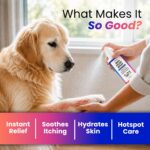 Petroyale Antimicrobial Skin Relief Spray for Dogs & Cats with Nano Silver – Anti Itch Pet Skin Care Spray for Dry, Sensitive & Irritated Skin, Supports Skin Hygiene, 50 ml - Image 2