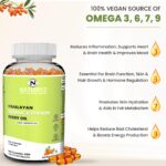 NATURYZ Himalayan Sea Buckthorn Berry Oil Triple Strength 1120mg | Liquid fill Technology for High Absorption & Bioavailability | Full Spectrum Cold-Pressed Vegetarian Omega 7 + Omega 3-6-9 | Skin Glow, Immunity & Gut Health Supplement | Gentler on Stomach, Non-GMO – 60 Veg Capsules - Image 3