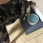 Hoki Found Silicone Pet Food Mats Tray - Non Slip Pet Dog Cat Bowl Mats Placemat - Fda Grade Dog Pet Cat Feeding Mat - Waterproof Dog Cat Food Mats -Pet Water Mats for Carpet, 18. 6" x 11. 8", Gray - Image 5
