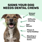 Absolut Pet Dog Supplement for Oral Care, Dental Chews for Dogs that Reduces Plaque & Tartar | Freshens Breath & Supports Gum Health (30 Chews) - Image 4