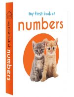 My First Library: Boxset of 10 Board Books for Kids (Pack 1) | Includes ABC, Numbers, Shapes, Colors, Wild Animals, Farm Animals & Pets, Birds, Fruits, Vegetables & Transport | Early Learning Board Books for Babies, Toddlers & Preschoolers | Ages 0-3 Years - Image 5
