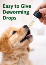 Breedo Worm Away Deworming Liquid Drops | Deworming Herbal Medicine for Pets | Worm Infestation Herbal Medicine | Pet Deworming | Easy to Use | for Puppies and Kittens | No Side Effects | 30ML - Image 3