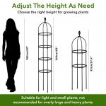 HASTHIP® Garden Plant Support Cages Stakes, Durable Metal Frames for Climbing Plants, Vegetables & Flowers, Rust-Resistant, for Indoor & Outdoor Gardening | Steady Hold for Climbing Vines and Veggies, Rust-Resistant Metal Build, Indoor Outdoor Setup, Easy Assemble Design - Image 2