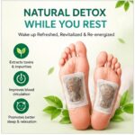 Herbal Foot Patches, 10 Pieces | Overnight Wellness Pads, Natural Plant Ingredients, Comfortable Adhesive Design, For Relaxation & Daily Self-Care - Image 2
