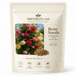 Hybrid Climbing Rose Vine Mix Seeds - All Season Japanese Variety Everbloom Multicolour Flower Plant Seeds For Outdoor Home Garden, Balcony, Walls, Gate FarmHouses (Cnt. 20+ Seeds)