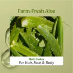 Vilvah Aloe Vera Gel for Face, Skin & Hair | Soothing & Hydrating Gel | Helps Reduce Acne, Calm Irritation & Add Shine to Hair | Lightweight, Hydrating & Non-Sticky Formula | 100ml - Image 5