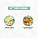 Born Good Plant Based Air freshener Spray for Home And Office, Indian Summer Fragrance, Biodegradable and Non-Toxic - 500 ml - Image 4