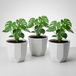 YUCCABE ITALIA SHERA Hexa Plastic Planter Pot for Plants Decorative Flower Pot UV Protected Lightweight Indoor Outdoor Gamla for Home Decor, Balcony, Garden & Living Room (Stone White, 8 INCH - 3 Pcs)