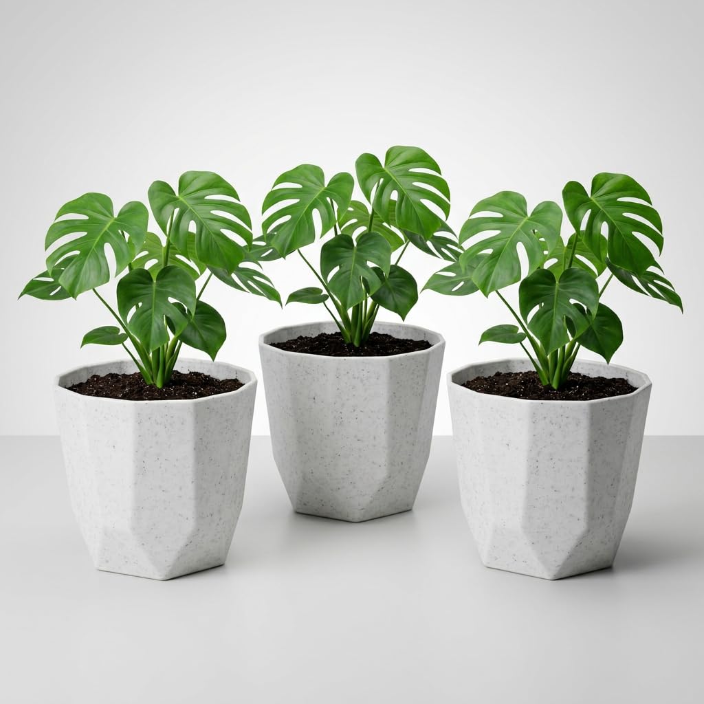 61R012R6YCL._SL1024_.jpg YUCCABE ITALIA SHERA Hexa Plastic Planter Pot for Plants Decorative Flower Pot UV Protected Lightweight Indoor Outdoor Gamla for Home Decor, Balcony, Garden & Living Room (Stone White, 8 INCH - 3 Pcs) - Image 1