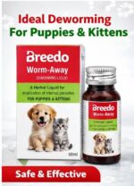 Breedo Worm Away Deworming Liquid Drops | Deworming Herbal Medicine for Pets | Worm Infestation Herbal Medicine | Pet Deworming | Easy to Use | for Puppies and Kittens | No Side Effects | 30ML - Image 4
