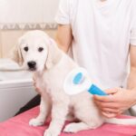 Depets Self Cleaning Slicker Brush, Pet Grooming Shedding Brush for Dogs and Cats - Easy to Remove Loose Undercoat, Pet Massaging Tool Suitable for Pets with Long or Short Hair Color May Vary - Image 8
