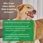 Absolut Pet Dog Supplement for Oral Care, Dental Chews for Dogs that Reduces Plaque & Tartar | Freshens Breath & Supports Gum Health (30 Chews) - Image 5