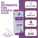 PET360 Vital+ Advanced Wellness Formula | Daily Multivitamin Syrup | Healthy Skin, Joints, Immunity & Growth | Nutritional Supplement for Dogs & Cats- 200 ml - Image 5