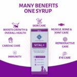 PET360 Vital+ Advanced Wellness Formula | Daily Multivitamin Syrup | Healthy Skin, Joints, Immunity & Growth | Nutritional Supplement for Dogs & Cats- 200 ml - Image 4