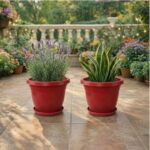 Urban Upvan Terracotta Round Flower Pots 10 Inch with Tray for Plants | Planters for Indoor & Outdoor Use | Balcony, Garden & Home Décor Gamla Pots, Pack of 2 - Image 2