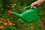 BENAVJI Watering Can Plastic Green Water Can with Sprayer for Plants Garden Indoor Outdoor Watering Shower Can Sprinkler for Plants Watering Hand Bottles for Garden Water Spray Can (Green, 5 Liter) - Image 5