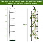 HASTHIP® Garden Plant Support Cages Stakes, Durable Metal Frames for Climbing Plants, Vegetables & Flowers, Rust-Resistant, for Indoor & Outdoor Gardening | Steady Hold for Climbing Vines and Veggies, Rust-Resistant Metal Build, Indoor Outdoor Setup, Easy Assemble Design - Image 3