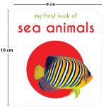 My First Library: Boxset of 10 Board Books for Kids (Pack 1) | Includes ABC, Numbers, Shapes, Colors, Wild Animals, Farm Animals & Pets, Birds, Fruits, Vegetables & Transport | Early Learning Board Books for Babies, Toddlers & Preschoolers | Ages 0-3 Years - Image 6