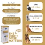 PET360 Omega 3+6 Concentrated Salmon Fish Oil for Dogs & Cats with Vitamins & Minerals | Shinier Coat, Itch & Allergy Control | Improves Skin & Hair Health | Nutritional Supplement for Pets - 200 ml - Image 6