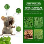 Rat Repellent Car Home Pack of 1 (10 Tablet) Repel Mice and Rats Protect Wires in Car, No Kill Only Repels Home Indoor Outdoor, Garden Patio Garage Rat Controller Pills to Keep Rodents Out of Car (1) (2, 10 TABLET) - Image 2