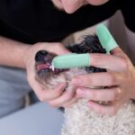 Inralimot Dog Toothbrush Cat Finger, Teeth Cleaning Set Soft Bristles for Easy Dental Care Toothbrush Suitable for Large to Small Dogs Cats and Small Pets Color: Pink or cyan,Manual, Adult - Image 5