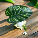 HASTHIP® Resin Frog Statue Garden Decor Planter Flower Pot Zen Desk Decor - Image 4