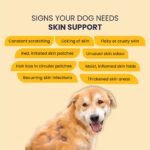 FUR BALL STORY Eczo Pet Anti Fungal & Anti Bacterial Cream|Itchy Skin Treatment for Dogs & Cats | Helps with Eczema, Ringworm, Dermatitis & Skin Infections | Ayurvedic Vet-Approved Formula 60gm - Image 4