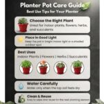 Urban Upvan Terracotta Round Flower Pots 10 Inch with Tray for Plants | Planters for Indoor & Outdoor Use | Balcony, Garden & Home Décor Gamla Pots, Pack of 2 - Image 6