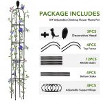 HASTHIP® Garden Plant Support Cages Stakes, Durable Metal Frames for Climbing Plants, Vegetables & Flowers, Rust-Resistant, for Indoor & Outdoor Gardening | Steady Hold for Climbing Vines and Veggies, Rust-Resistant Metal Build, Indoor Outdoor Setup, Easy Assemble Design - Image 5