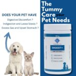 PET360 Digest+ | Tummy Care Formula for Healthy Digestion | Reduces Paw Licking & Scratching | Increased Immunity | Suitable for All Breeds| 100gm Powder - Image 2