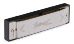 Juarez JRZ10HM Key C Diatonic Blues Harmonica 10 Hole 20 Tones with Case, Mouth Organ for Beginners, Students, Kids & Professionals, Silver - Image 4