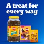 Pedigree Dentastix Oral Care Dog Treat, Adult Small Breed (5-10 kg), 440 g, Recommended by Vets, Supports Gum Health, Reduces Risk of Gum diseases - Image 16