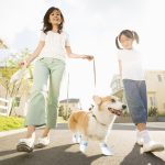 RvPaws Disposable Dog Boots for Paw Protection, 20 Pcs Pet Shoes with Adjustable Self-Adhesive Bandage, Dog Disposable Foot Covers for Outdoor & Indoor Walking (Suitable for Less 12Kg) - Image 9