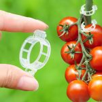 Trellis Clips for Climbing Plants Outdoor,Plant Support Clips Reusable Garden Clips,Tomato Clips, Plastic Trellis Clips,Garden Plant Clips to Grow Upright Makes Plants (50, White)
